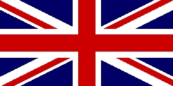 English Summary